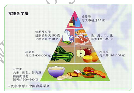 目前加盟最好的项目是，健康饮食与生活方式