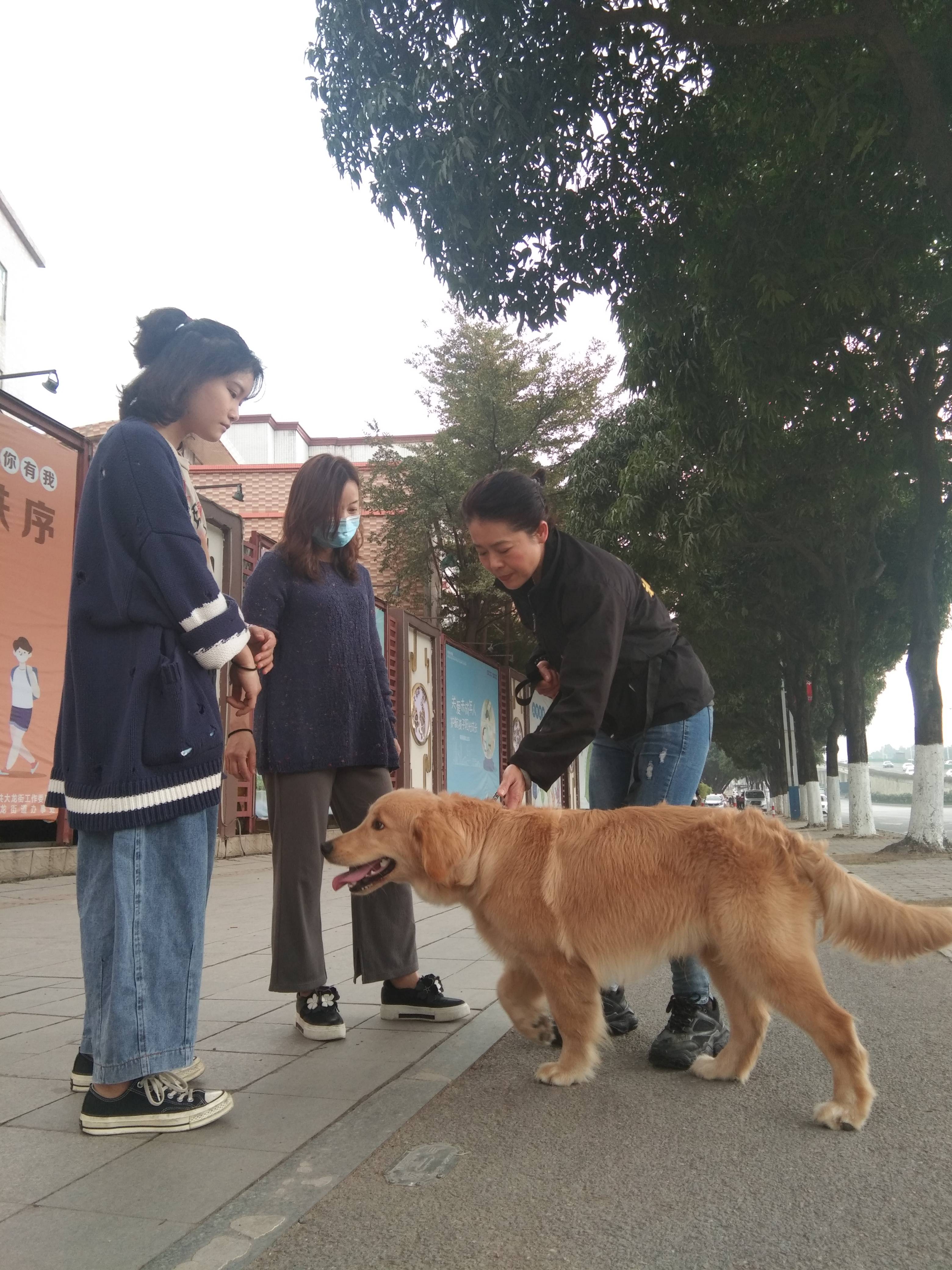 训犬师加盟项目介绍