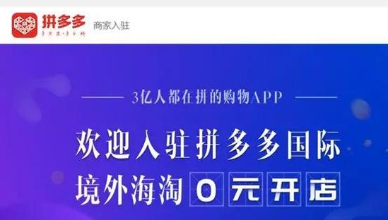 拼多多加盟项目大盘点，解锁电商加盟新篇章