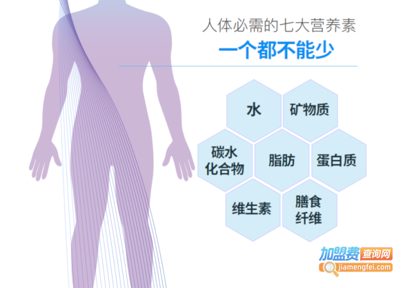 养生馆项目加盟费，投资成本与经营效益的全面解析