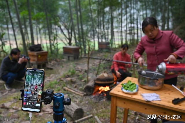 山里人家做什么生意好赚钱 山里人家做什么生意好赚钱呢