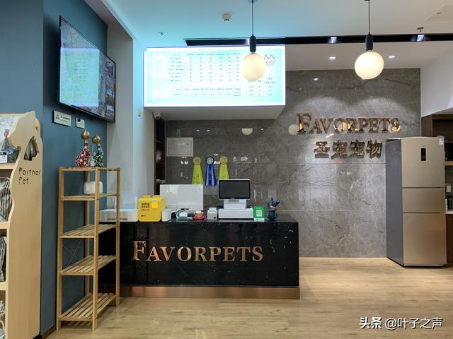 上海宠物店加盟项目探究，机遇、挑战与前景