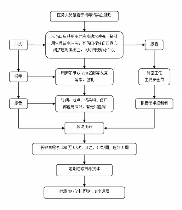 家政加盟项目流程解析，从入门到精通