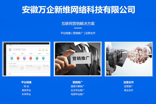 国内网络推广加盟项目平台 网站推广加盟