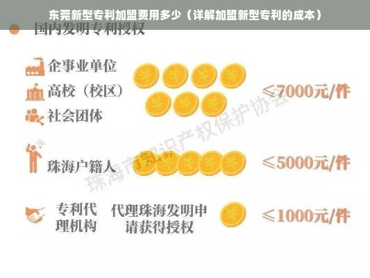 专利科技项目加盟费用解析，投入与回报的平衡艺术