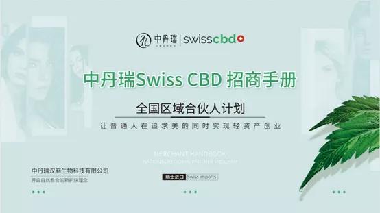 如何选择合适的招商加盟代理项目，全面而实用的指南