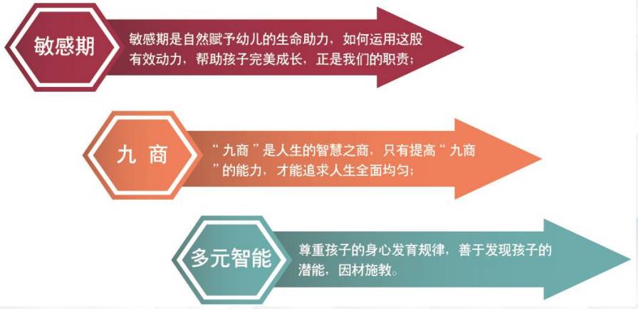 优路教育加盟项目费用详解，投入与回报的平衡艺术