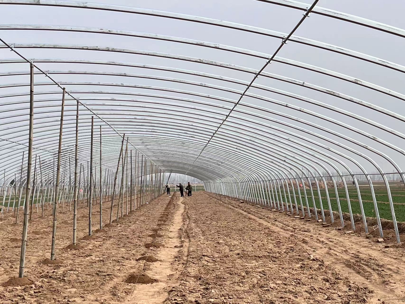 河北蔬菜大棚种植加盟项目，开启创业之旅，实现财富梦想