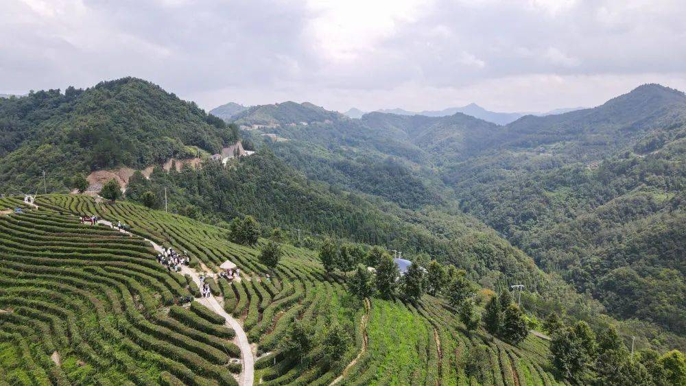 生态乡村旅游加盟项目，打造人与自然和谐共生的美丽家园