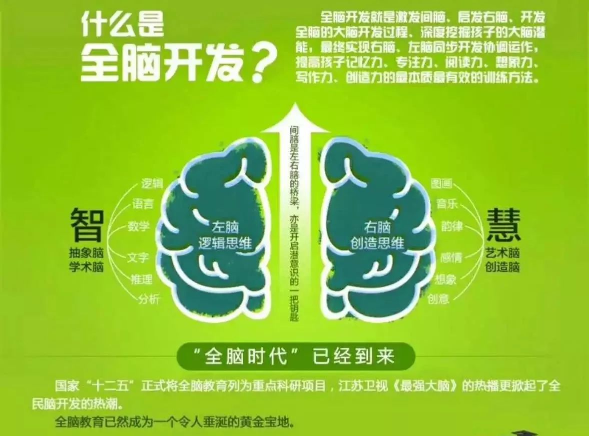 衢州全脑教育加盟项目，开启未来教育的新篇章