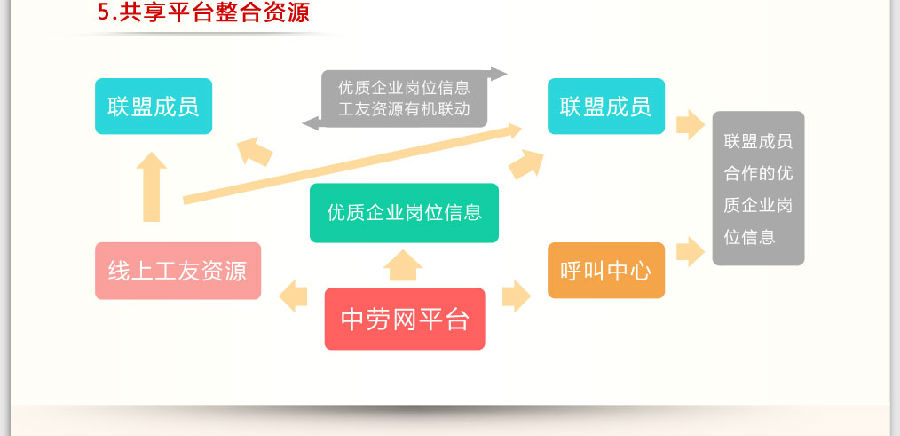 网络项目代理加盟费用详解，投入与回报的权衡艺术