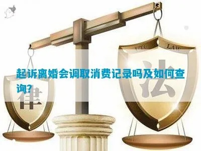 起诉离婚查酒店记录可以吗 法院起诉离婚能查酒店记录吗