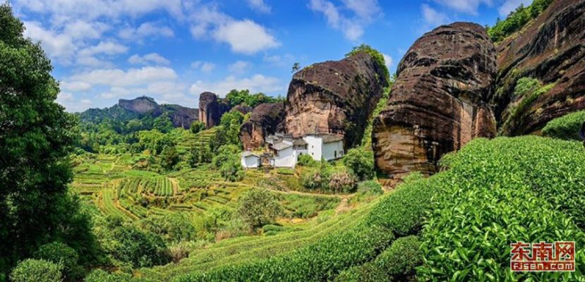 南平致富项目加盟电话地址——探索武夷山脉下的财富之路