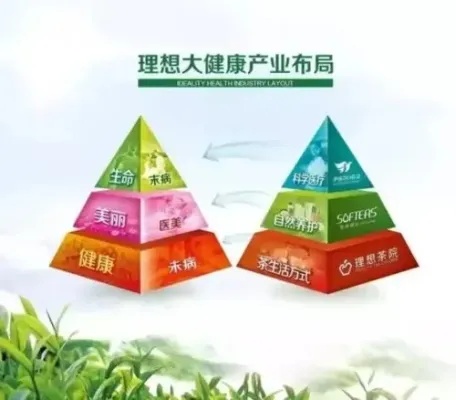 健康管理项目加盟哪家好，探寻行业领导者，共创健康未来