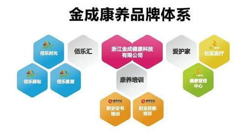 合作项目加盟商，探索共赢的商业新模式