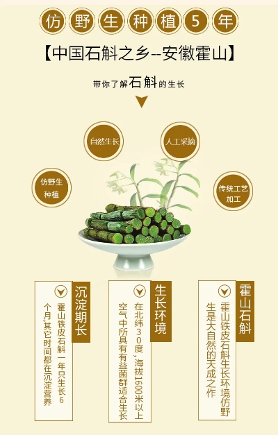 惠州铁皮石斛项目加盟电话