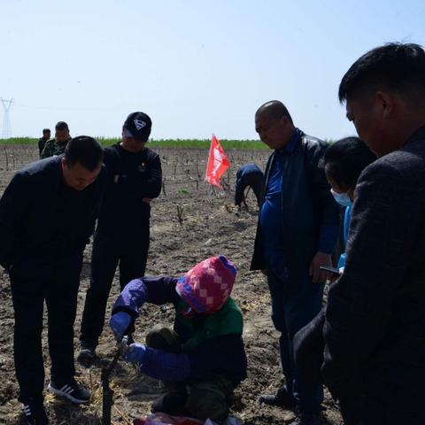 白城天津产后恢复项目加盟，值得投资的新领域