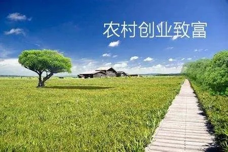 农村加盟项目哪个软件好？