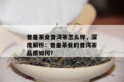 普洱美容项目加盟哪家好，深度解析与推荐