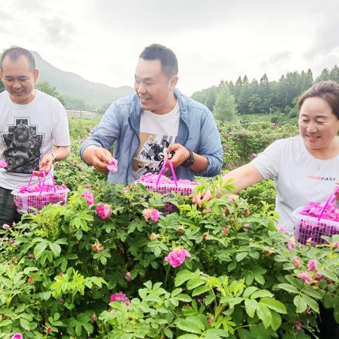 通化创业项目加盟电话，开启您的创业之旅