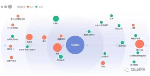 全网营销项目加盟费用解析，了解、计算与规划