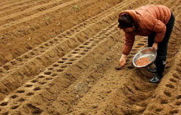 在自己土地上能做什么赚钱 在土地上可以干什么