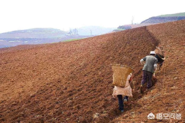 在自己土地上能做什么赚钱 在土地上可以干什么