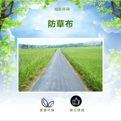 防草地布钉项目加盟，共创美好未来！