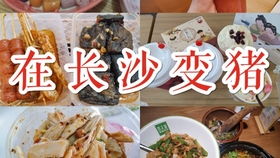 曾氏餐饮加盟项目，实现创业梦想的绝佳选择