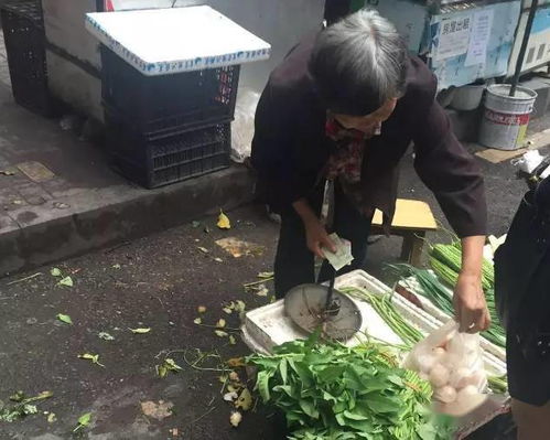 夏天在路边做什么生意赚钱 夏天路边开什么花