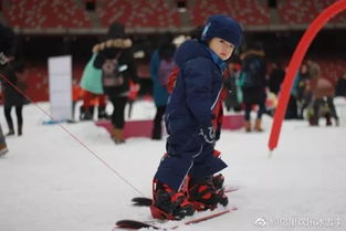 冰雪项目加盟费用价格