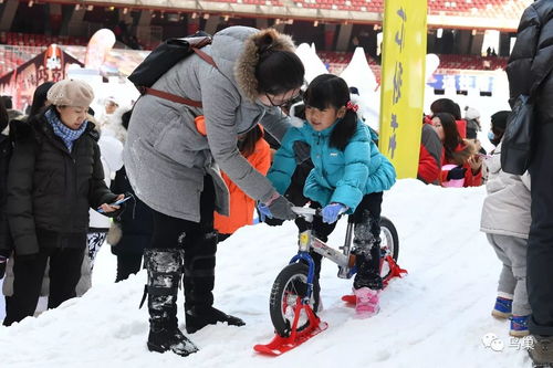 冰雪项目加盟费用价格