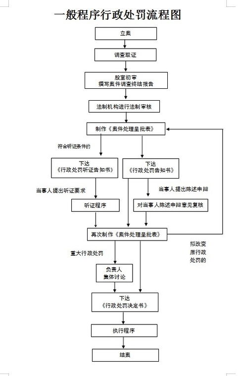 项目吃饭加盟流程图