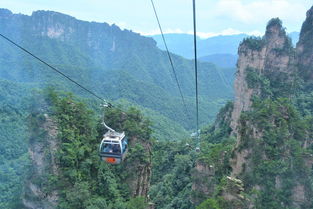 张家界赚钱项目加盟，探索旅游行业的商机