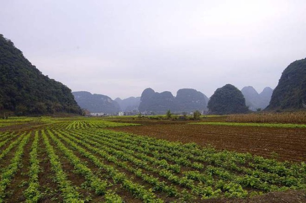 几十亩地能做什么生意赚钱 有十几亩地能做什么