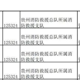 贵州消防加盟项目名单公布，共涉及24家企业