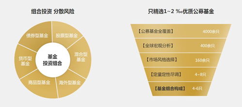 投资加盟网上项目，实现财富自由的新途径