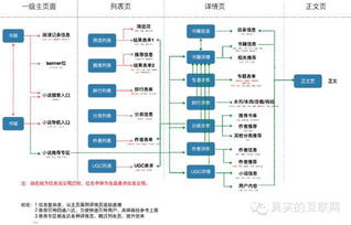 产品加盟项目流程介绍模板