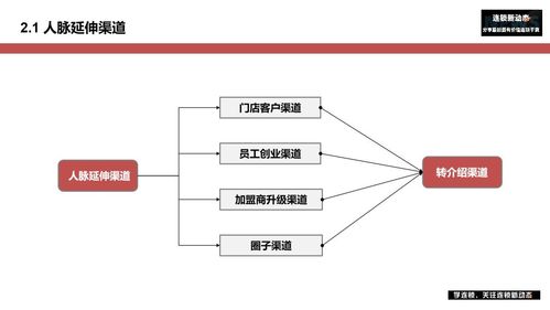 项目加盟渠道的类型与策略