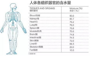 深圳养生水机加盟项目，探索健康饮水新领域