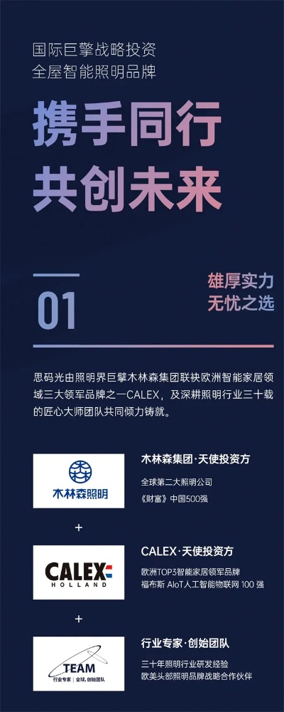 共创未来，携手同行——代理加盟扶持项目名称全新上线！