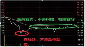 19年挣钱免费加盟项目，实现财富自由！