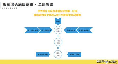 逻辑课程加盟项目有哪些？