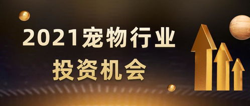 加盟2021年最新项目，趋势、机遇与挑战