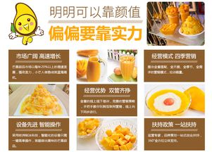 广东餐饮项目加盟费用详解