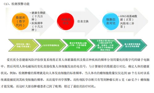 招商与加盟项目的差异，解析、比较与策略