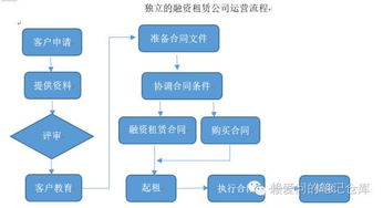 产品加盟项目运营流程表