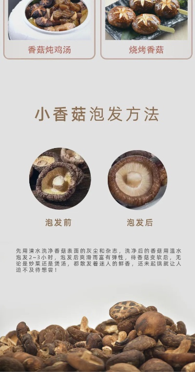 小香菇台湾加盟好项目