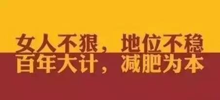 浙江减肥项目加盟哪个好，全面解析与推荐