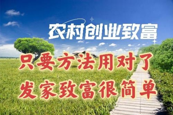 农村创业项目加盟方案